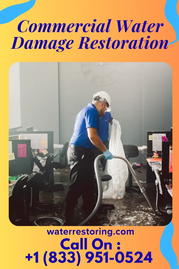 Commercial Water Damage Restoration in Lone Rock, WI