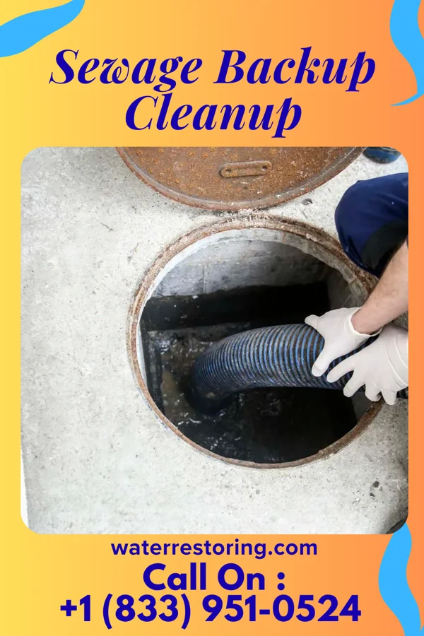 Sewage Backup Cleanup in Lone Rock, WI
