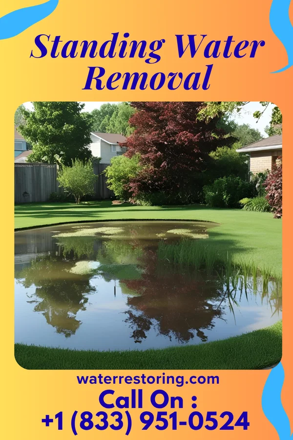 Standing Water Removal in Lone Rock, WI